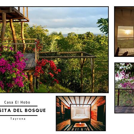La Casita Del Bosque Vila Santa Marta  Exterior foto