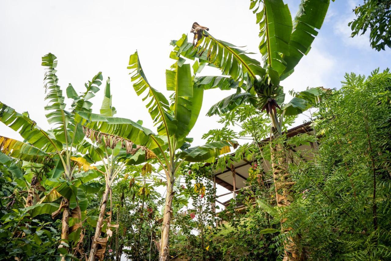 La Casita Del Bosque Vila Santa Marta  Exterior foto