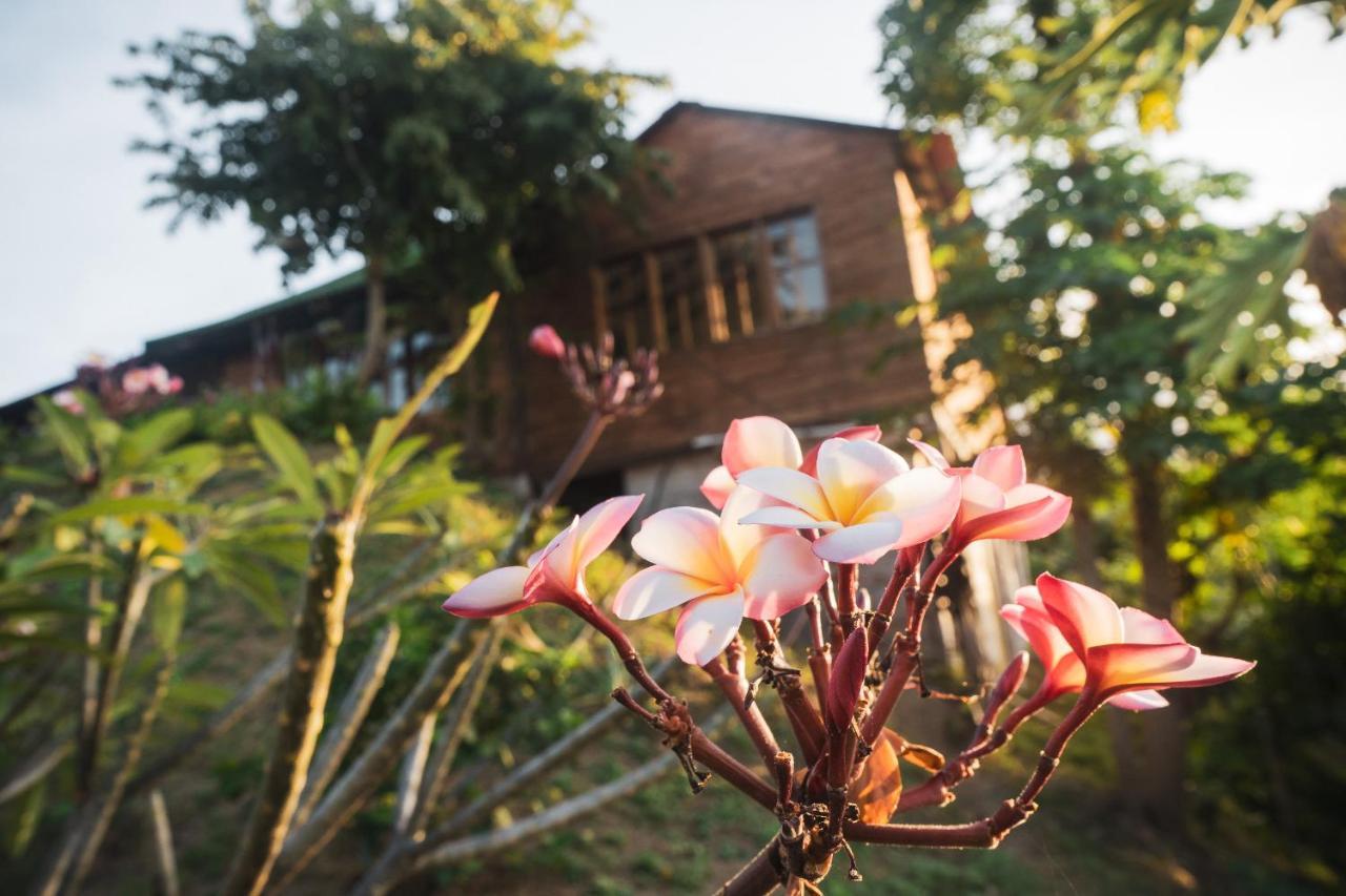 La Casita Del Bosque Vila Santa Marta  Exterior foto