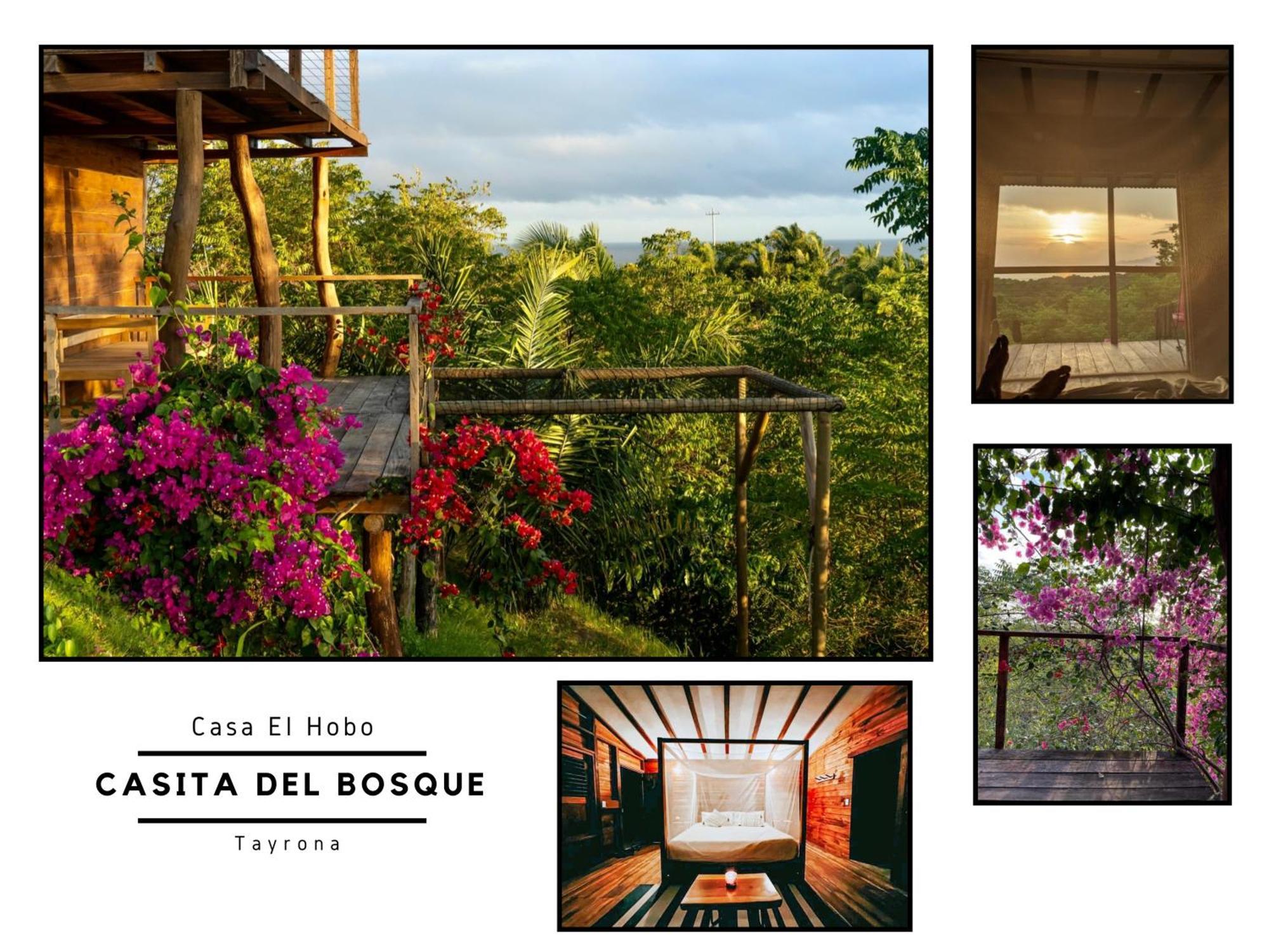 La Casita Del Bosque Vila Santa Marta  Exterior foto