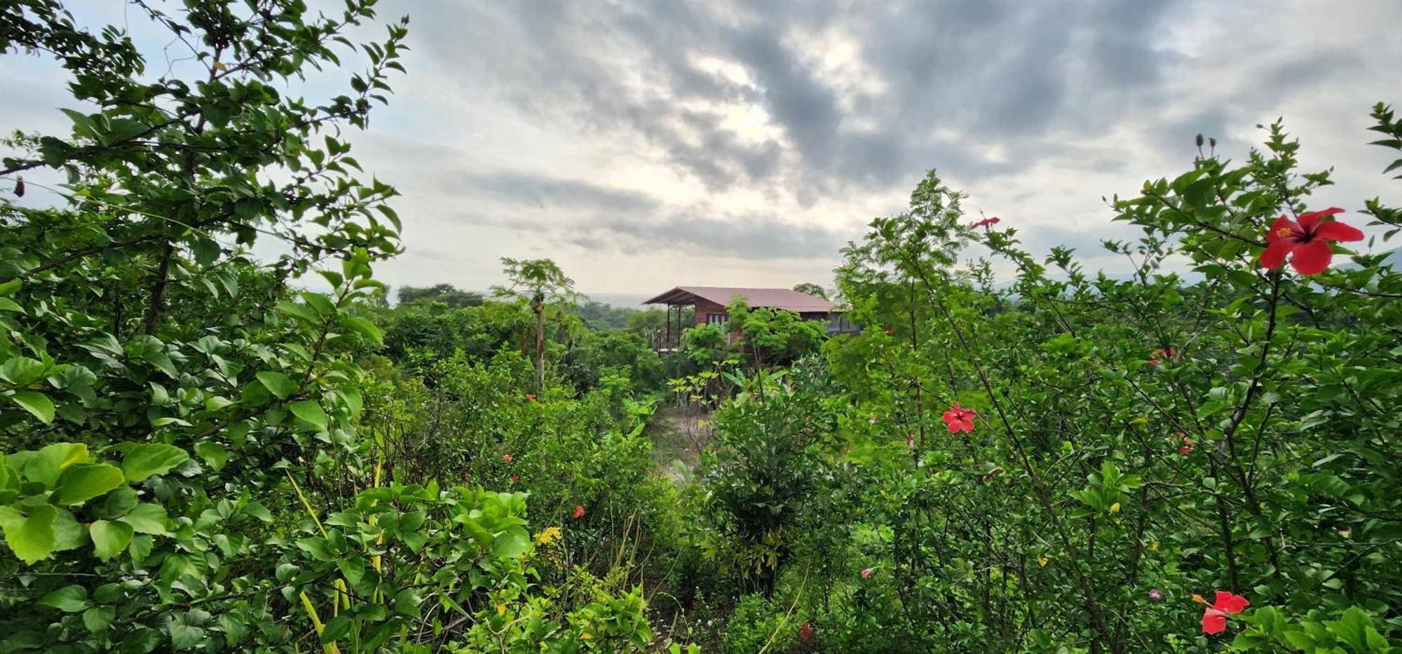 La Casita Del Bosque Vila Santa Marta  Exterior foto