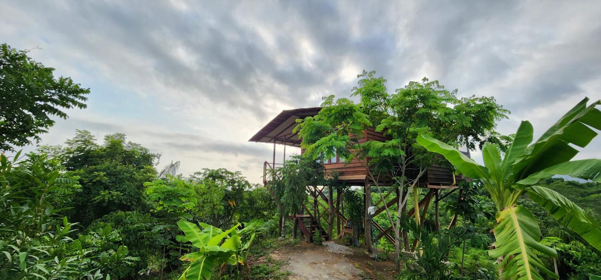 La Casita Del Bosque Vila Santa Marta  Exterior foto